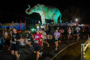 BIB: 
                            <button type="button" onclick="openModal(26552302)" class="btn btn-primary btn-sm float-right btn-popup" data-toggle="modal" data-target=".modal-high-quality">
                        <i class="fas fa-shopping-cart"></i> Add to Cart
                    </button>
                                            <button type="button" onclick="isThisMe(26552302, true)" class="btn btn-success btn-sm float-right btn-popup btn-isme hidden" data-toggle="tooltip" data-placement="bottom" title="นี่คือรูปของคุณใช่ไหม คลิกที่นี่เพื่อเอาเข้าอัลบั้ม">
                        <i class="fas fa-plus"></i> Add to album
                    </button>
                    <button type="button" onclick="isThisMe(26552302, false)" class="btn btn-warning btn-sm float-right btn-popup btn-isnotme hidden">
                        <i class="fas fa-ban"></i> Remove from album
                    </button>